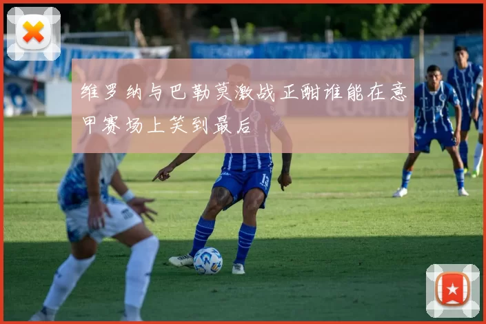 维罗纳与巴勒莫激战正酣谁能在意甲赛场上笑到最后
