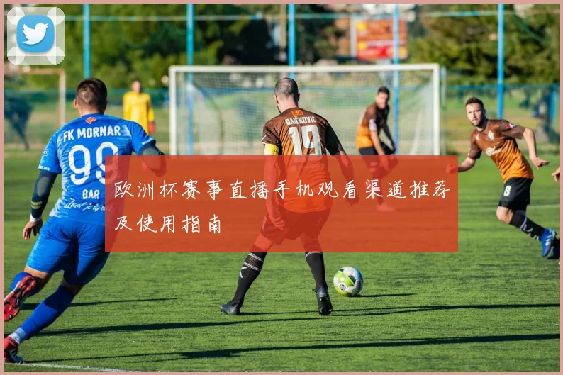 欧洲杯赛事直播手机观看渠道推荐及使用指南
