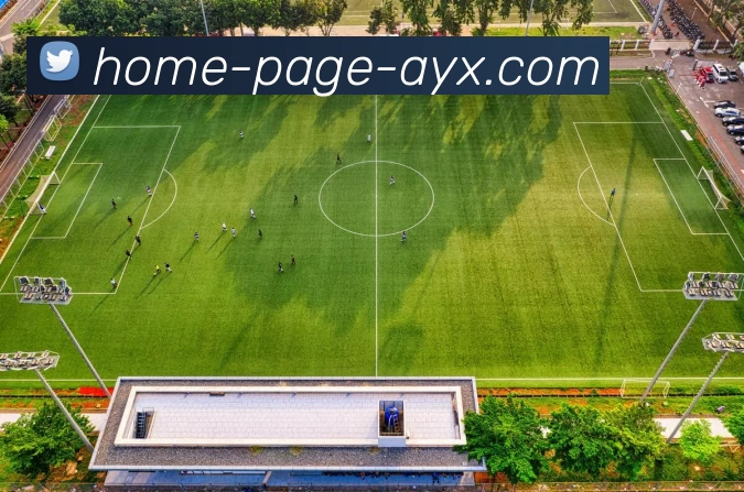 爱游戏平台生态图