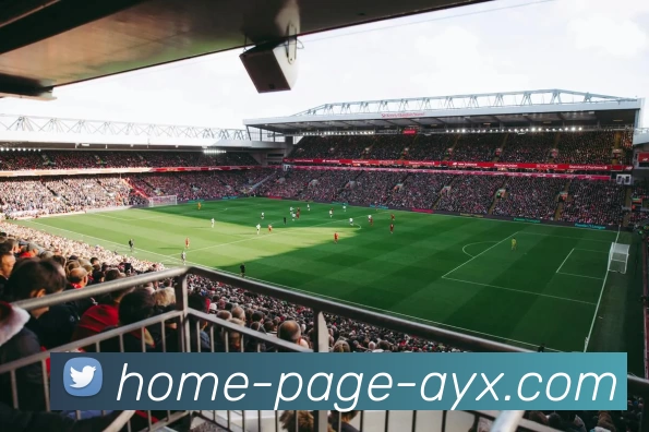 爱游戏APP 封面图